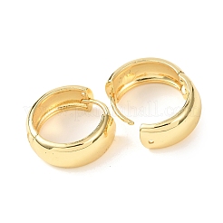Brass Hoop Earrings&nbsp;EJEW-Q015-21A-G