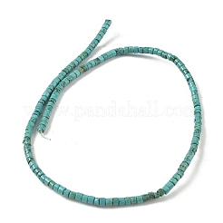 Dyed Natural Magnesite Beads Strands&nbsp;G-M448-C01-01