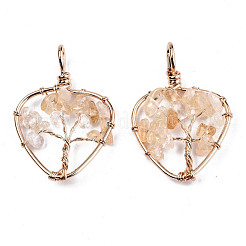 Natural Citrine Pendants&nbsp;G-T131-97