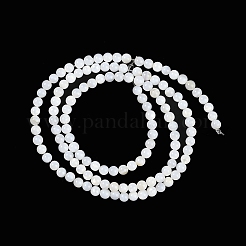 天然養殖淡水貝ビーズ連売り  ラウンド  フローラルホワイト  3mm  穴：0.5mm  約125~128個/連  14.5~14.65''（37~37.2センチメートル）&nbsp;X-BSHE-H109-03A