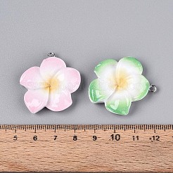 Opaque Resin Pendants&nbsp;RESI-T059-05M