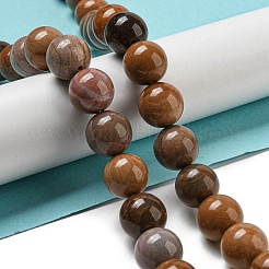 Natural Petrified Wood Round Bead Strands&nbsp;G-F266-08-12mm