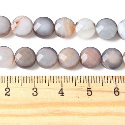 Natural Grey Botswana Agate Beads Strands&nbsp;G-C179-A50-03
