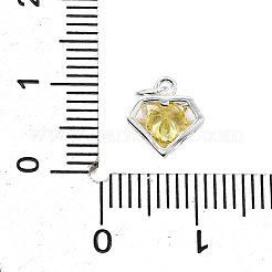 S925 Sterling Silver with Cubic Zirconia Charms&nbsp;STER-Q006-05A-S