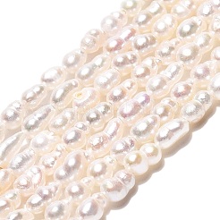 天然有核パールビーズ連売り  けし真珠  ライス  乳白色  2~8x2~3.5mm  穴：0.5mm  約69~108個/連  15.16~15.55インチ（38.5~39.5cm）&nbsp;PEAR-N012-02O-01