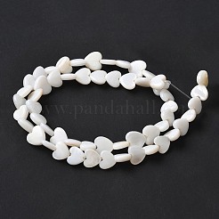 天然淡水シェルビーズ連売り  ハート  貝殻色  7~9x8.5~9x2.5~3mm  穴：0.9mm  約54個/連  15.20インチ（38.6cm）&nbsp;SSHEL-C013-05