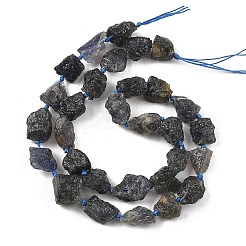 Raw Rough Natural Iolite Beads Strands&nbsp;G-D101-A01