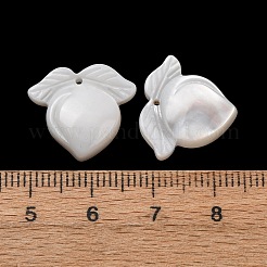 天然の白い貝殻で彫刻されたフルーツペンダント  桃のチャーム  16x18x4.5mm  穴：0.9mm&nbsp;SHEL-G024-07