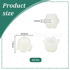 10Pcs Natural Sea Shell Carved Beads&nbsp;SHEL-PH0001-64