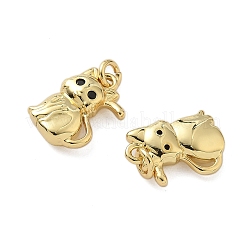 Brass Micro Pave Cubic Zirconia Pendants&nbsp;KK-P325-13M-G