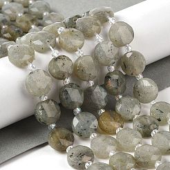 Natural Labradorite Bead Strands&nbsp;G-C116-A10-01