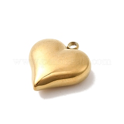 304 Stainless Steel Pendants&nbsp;STAS-B113-04C-G