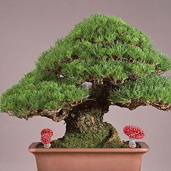 Resin Miniature Luminous Mushroom Ornaments&nbsp;AJEW-WH0326-72