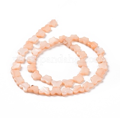 Natural Freshwater Shell Beads Strands&nbsp;SHEL-H002-02