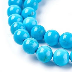 Natural Magnesite Beads Strands&nbsp;TURQ-P027-28A-8mm