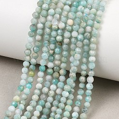 Natural Amazonite Bead Strands&nbsp;G-P279-42-3mm