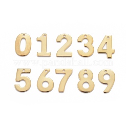 201 Stainless Steel Charms&nbsp;STAS-P140-G