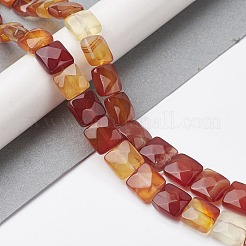 Natural Red Agate Beads Strands&nbsp;G-K359-B11-01