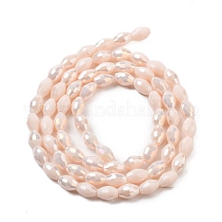 Electroplate Glass Beads Strands&nbsp;EGLA-A037-P6x8mm-B02