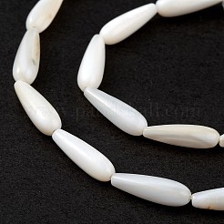 Natural Freshwater Shell Beads Strands&nbsp;SHEL-M018-09