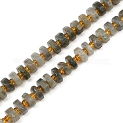 Natural Labradorite Beads Strands&nbsp;G-F796-A05-01