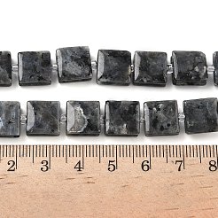 Natural Labradorite Beads Strands&nbsp;G-F802-B03-01