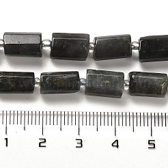 Natural Larvikite Beads Strands&nbsp;G-N327-06-32
