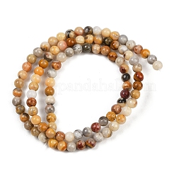 Natural Crazy Lace Agate Round Bead Strands&nbsp;G-P075-16-4mm