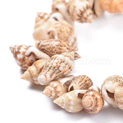 Unisex Natural Spiral Shell Stretch Bracelets&nbsp;BJEW-K220-01