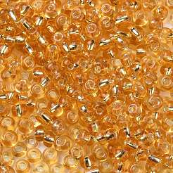 6/0 Transparent Glass Round Seed Beads&nbsp;SEED-J010-F6-22B