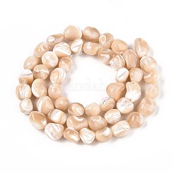 天然トロチッドシェル/トロカスシェルビーズ連売り  ナゲット  小麦  6~11x6~10x6~10mm  穴：0.7mm  約46~48個/連  15.16~15.55インチ（38.5~39.5cm）&nbsp;SSHEL-N040-13