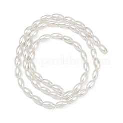 Electroplated Shell Pearl Beads Strands&nbsp;BSHE-Z009-10A