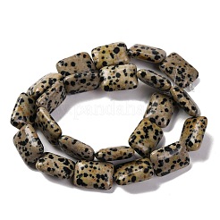 天然石ダルメシアンジャスパービーズ連売り  長方形  18x13.5x5.5mm  穴：1.2mm  約22個/連  15.75インチ（40cm）&nbsp;G-T047-B16-01