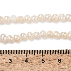 Natural Cultured Freshwater Pearl Beads Strands&nbsp;PEAR-L034-05