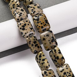 天然石ダルメシアンジャスパービーズ連売り  長方形  18x13.5x5.5mm  穴：1.2mm  約22個/連  15.75インチ（40cm）&nbsp;G-T047-B16-01