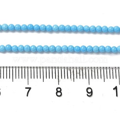 Synthetic Turquoise Dyed Beads Strands&nbsp;G-B090-A14-01