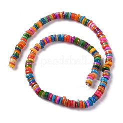 Natural Freshwater Shell Beads Strands&nbsp;SHEL-C001-06A
