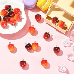 10Pcs Plastic Pendants&nbsp;KY-YW0002-17A