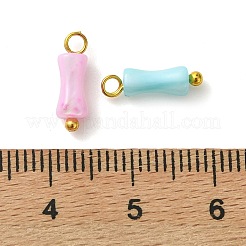 Rainbow Color Dyed Natural Freshwater Shell Pendants&nbsp;PALLOY-JF05543