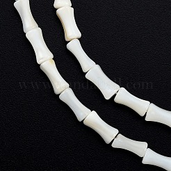 天然淡水シェルビーズ連売り  染色されていない  竹の棒の形  ホワイト  8x4.5mm  穴：0.8mm  約46個/連  14.49インチ（36.8cm）&nbsp;SHEL-G013-01B