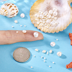 電気めっきシェルパールビーズ連売り  ナゲット  ミックスカラー  4~8.5x6~11x4~8.5mm  穴：1mm  50個/セット&nbsp;BSHE-TA0001-16