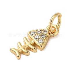 Rack Plating Brass Micro Pave Cubic Zirconia Charms&nbsp;KK-P279-08G