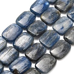 Natural Kyanite Beads Strands&nbsp;G-H335-I01-12x16mm