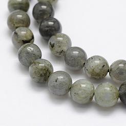 Natural Labradorite Beads Strands&nbsp;G-P322-29-8mm