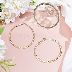 4 Pairs 2 Colors Alloy Hoop Earrings&nbsp;EJEW-GO0002-34