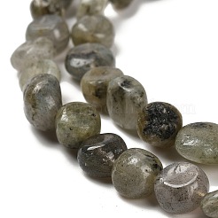 Natural Labradorite Beads Strands&nbsp;G-P497-01E-47