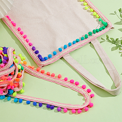 10 Yards Polyester Pom Pom Ball Tassel Ribbons&nbsp;DIY-PH0033-31