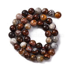 Natural Mexico Crazy Agate Beads Strands&nbsp;X-G-L615-A01-02