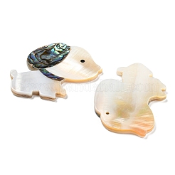 Natural Freshwater Shell & Paua Shell & Natural White Shell Pendants&nbsp;BSHE-G034-02