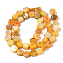 Natural Trochid Shell/Trochus Shell Beads Strands&nbsp;SHEL-S258-083-B10